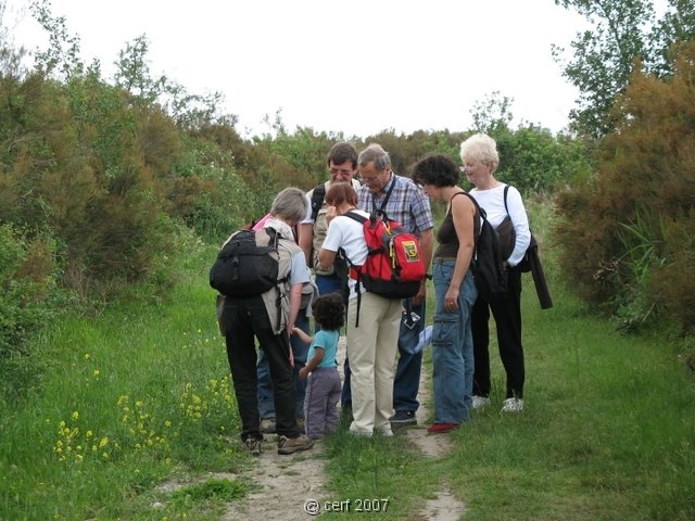 2007 05 Séjour en Brenne 062